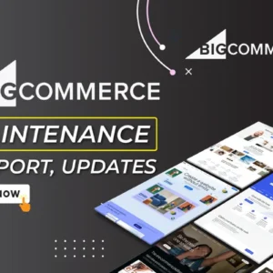 I will do BigCommerce Support, BigCommerce Maintenance, Website Updates or Help