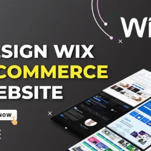 I will do WIX E-commerce Website Design, WIX Store Design and Customization
